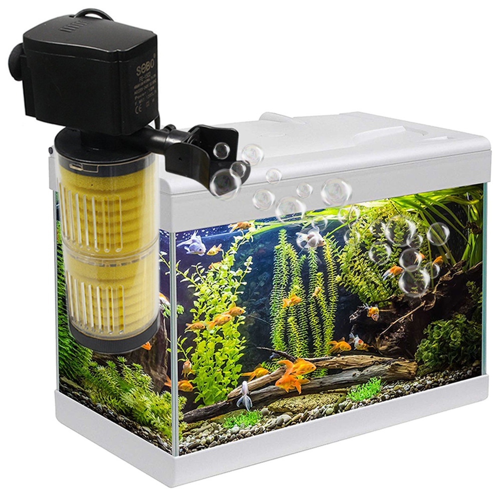 Come Creare Un Filtro Per Acquario